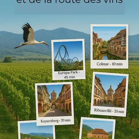 Chez Marguerite & Alphonse 2 Pieces Proche Colmar